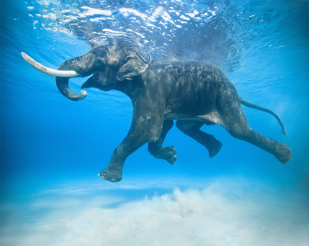 The Happiness Hypothesis: Haidt on&nbsp;Divinity